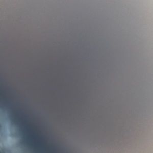 Meet your Posher, Reid